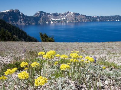 Crater Lake National Park with wildflowers